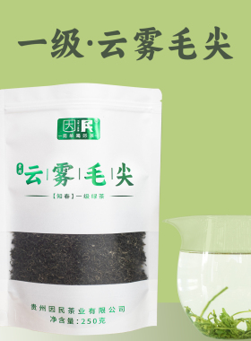 贵州普安绿茶2025新茶因民茶业云雾毛尖·知春250克一级袋装茶