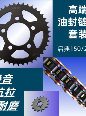 适用启典150/250V KD150-F-H-L-J-V-Z链盘链轮套链牙盘油封链条