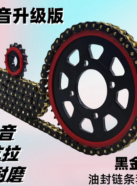 GR150GA150静音链盘牙盘油封链条