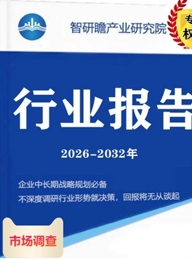 下一代互联网（CNGI，IPv6）建设市场前瞻与投资战略规划分析报告