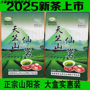 2025山阳茶叶 陕南绿茶 商洛茶叶 新茶绿茶天竺山秦岭 商南茶包邮