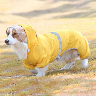 狗狗雨衣柯基雨披中小型犬泰迪柴犬雨衣巴哥法斗雪纳瑞宠物衣