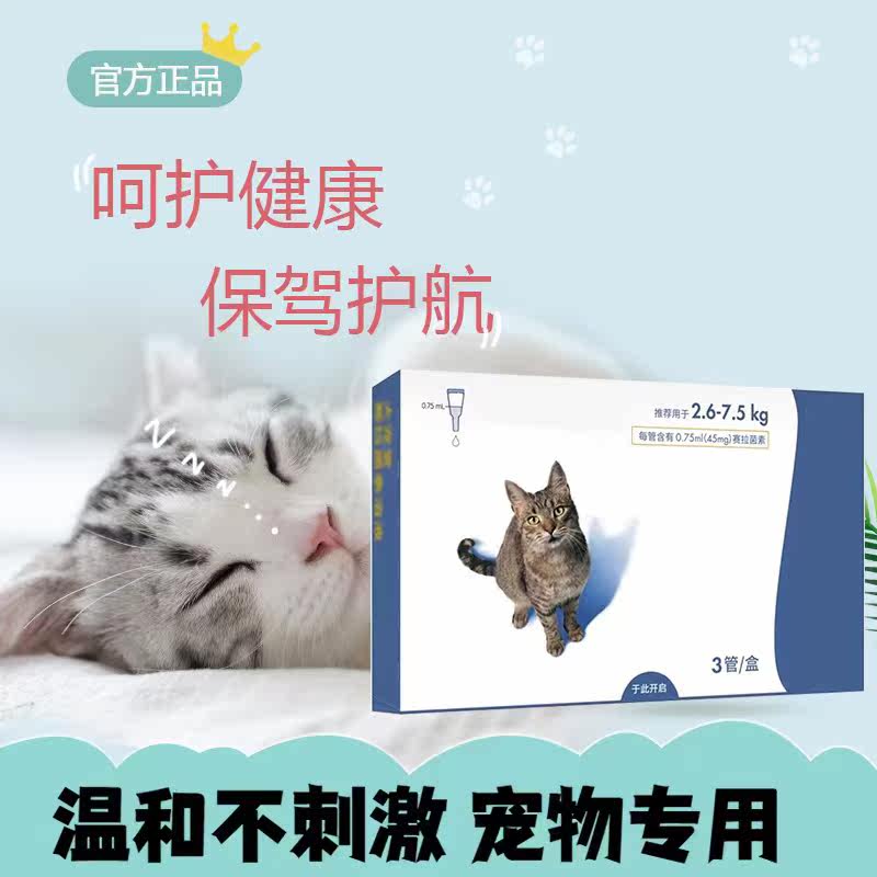 大宠体内外一体猫咪体内外成幼猫宠爱外用液体外用金渐层贴纸