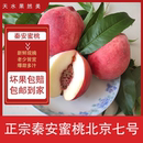 包邮 正宗秦安水蜜桃甘肃桃子天水桃新鲜现摘剥皮软桃北京七号蜜桃
