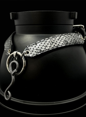 【生动的面容】欧美朋克风夸张蛇皮项链choker颈链黑色个性项圈