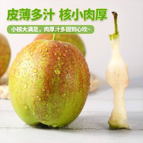 阳信媚梨新七号皮薄清脆2026年新鲜现摘特产多汁富硒梨特大果酥梨