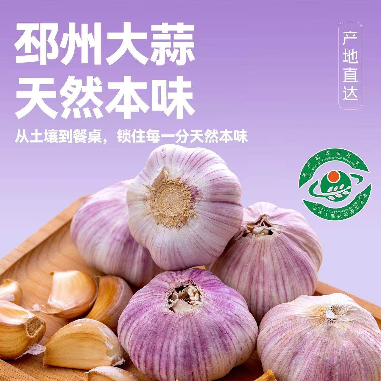 邳州新干紫皮大蒜头产地直发