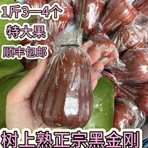 【顺丰】现货泰国黑金刚莲雾特大果海南黑金刚莲雾孕妇当季水果甜