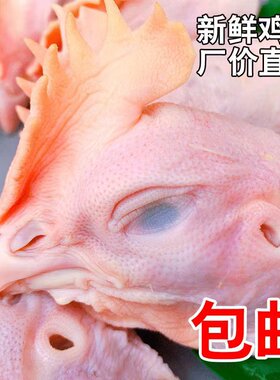 鸡头大新鲜无毛现宰现发