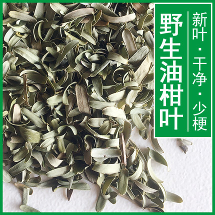 油柑叶野生新鲜散装余甘子枕头填充料成人宝宝舒适草本枕芯填充物