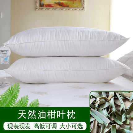 天然油柑叶枕头全棉成人荞麦枕油甘叶牛柑子油金叶新鲜植物枕芯