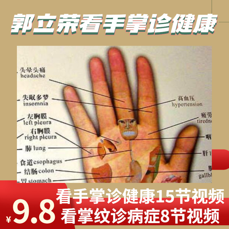 看手掌诊健康看掌纹诊病症郭立荣全套高清视频教程