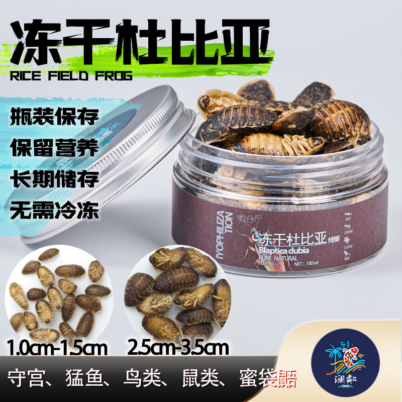 冻干杜比亚蟑螂雷龙豹纹肥尾守宫蜥蜴乌龟龙鱼鸟粮蜜袋鼯刺猬饲料