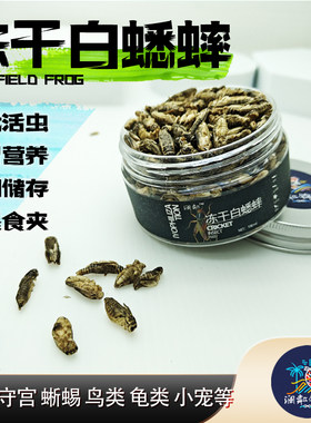 白蟋蟀冻干守宫蜥蜴树蛙爬宠粮