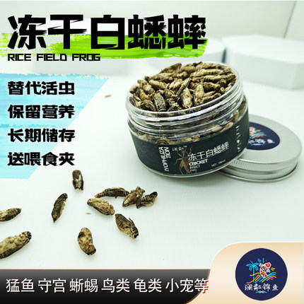 白蟋蟀冻干守宫蜥蜴爬宠雷龙鱼昆虫干饲料树蛙针头蟋蟀水龟鹦鹉粮