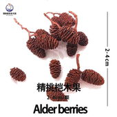 水晶虾降酸果降低PH值天然观赏虾缸造景补充微量元 素榄仁叶软水