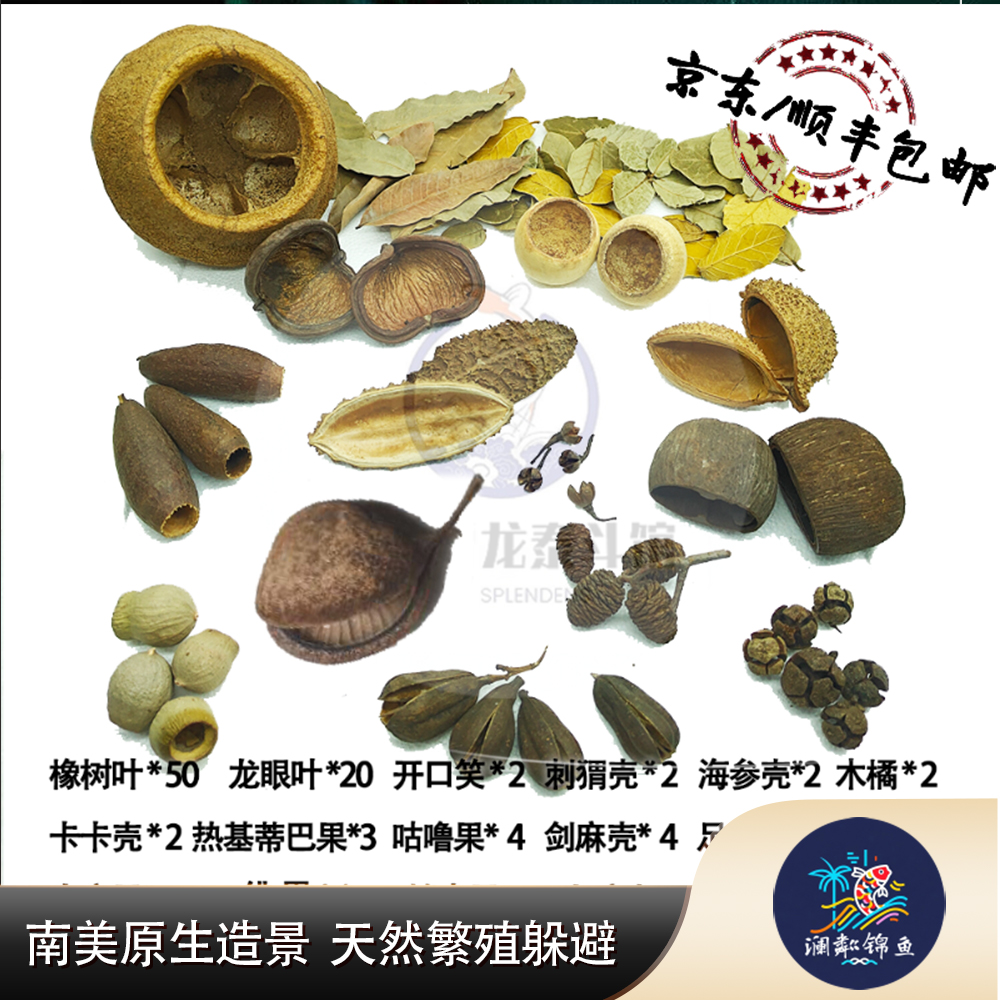 南美缸原生缸造景装饰天然果壳