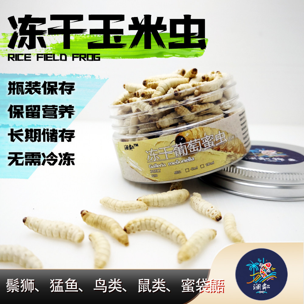 冻干蜂蜜虫葡萄虫玉米虫蜜袋鼯鸟仓鼠饲料鬃狮雷龙猛鱼角蛙花枝鼠
