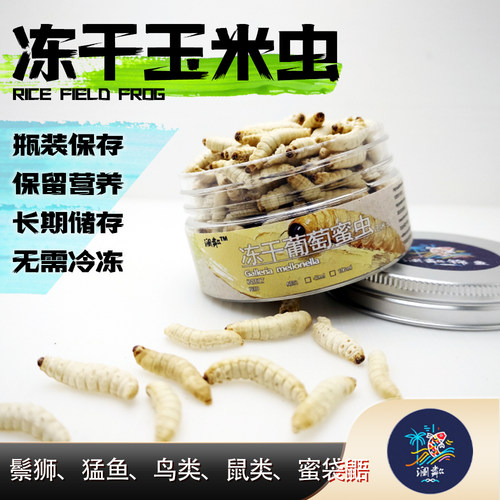 冻干蜂蜜虫玉米虫通用宠物饲料