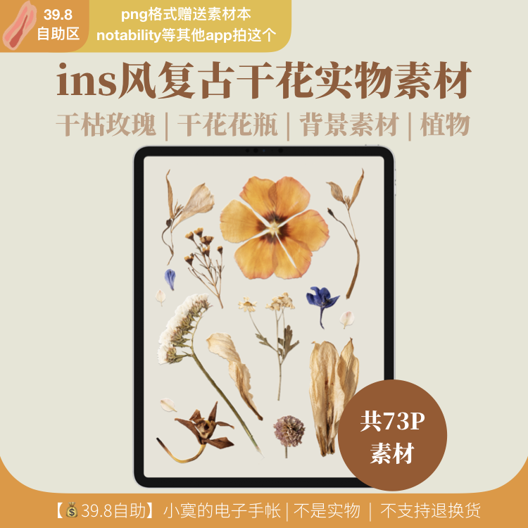 ins风复古干花实物 | 植物拼贴电子手帐素材 |png贴纸notability
