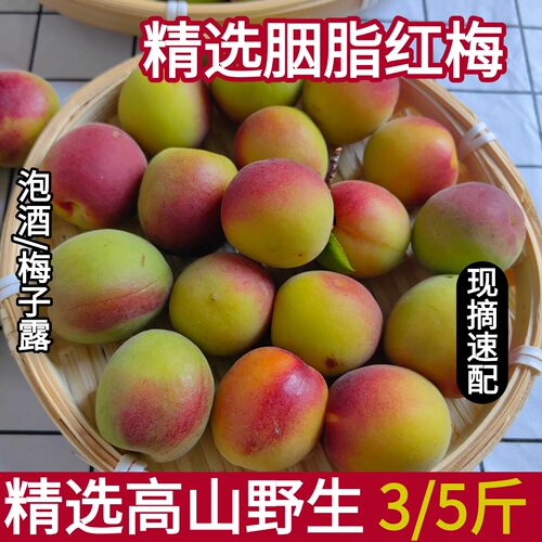 新鲜胭脂梅泡酒梅子露专用红梅