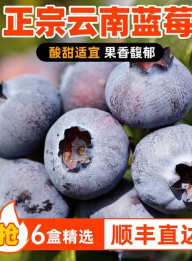 顺风云南大理蓝莓高山花香L25新鲜当季现摘酸甜孕妇水果蓝莓整箱
