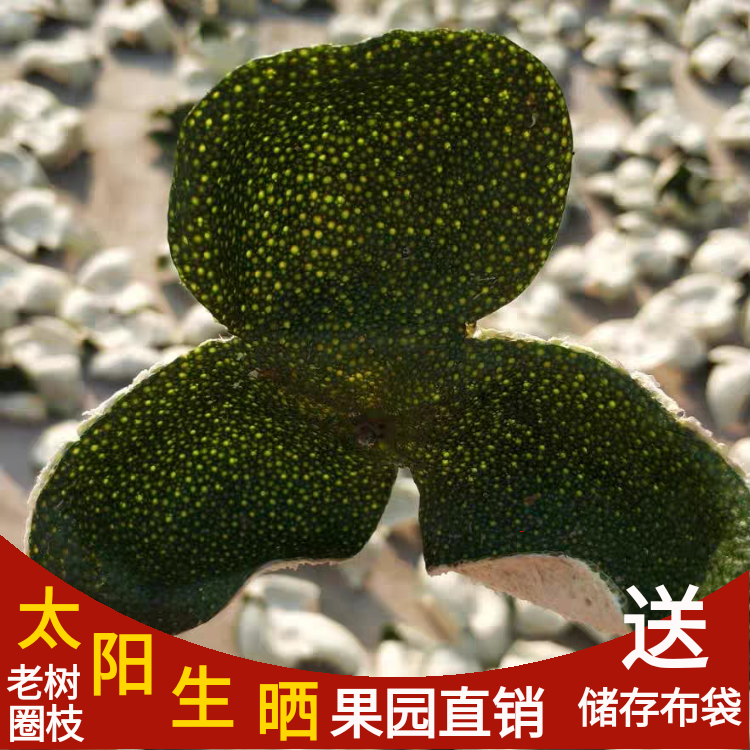 2024年新皮正宗新会小青柑皮圈枝大红皮生晒青皮药用泡茶