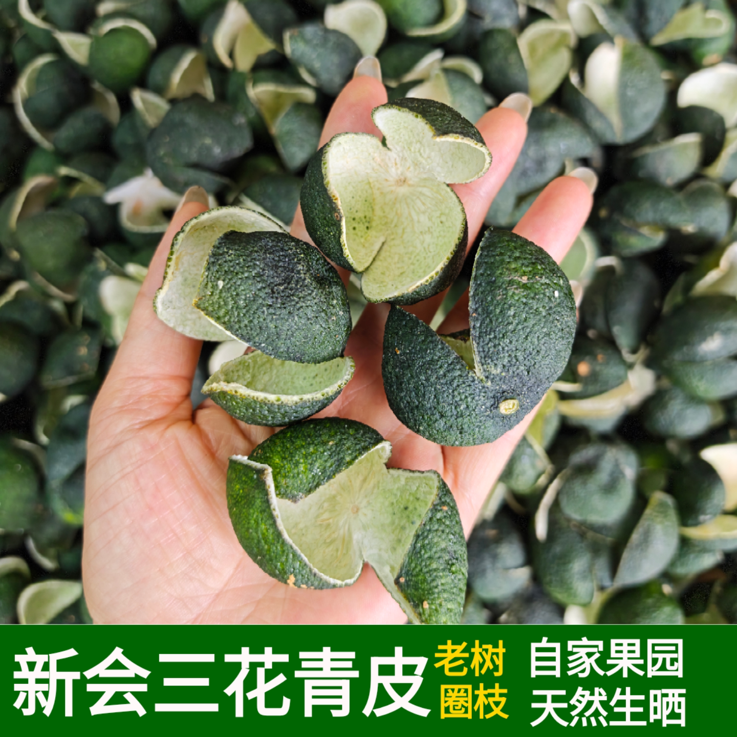 太阳生晒新会三花青皮小青柑皮