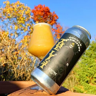 UT4.53狠货!2月14产 电厂 神秘化学 双倍干投 浑浊帝国IPA 啤酒