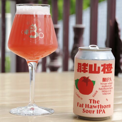 分野酿造胖山楂酸IPA精酿啤酒