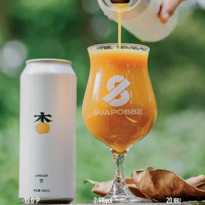 沙坡尾杏子山楂蔓越莓水果古斯