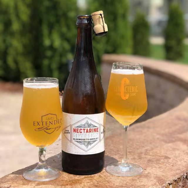 凯西分流过桶水果野菌酸啤酒
