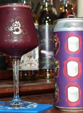 UT4.43尖货！ 愤怒的椅子 看在皮特的份上 黑莓波森莓 果泥酸啤酒