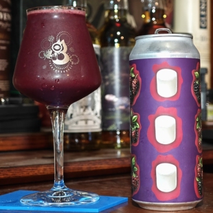 UT4.43尖货！ 愤怒的椅子 看在皮特的份上 黑莓波森莓 果泥酸啤酒