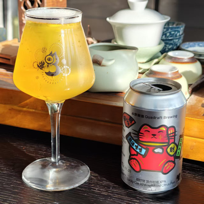分野酿造招财猫混合柑橘XPA啤酒