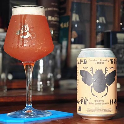 分野酿造黄金圣甲虫酸IPA啤酒