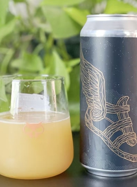 UT4.41重口尖货！12月9产 凡人 飞履 双倍干投 四倍IPA 精酿啤酒
