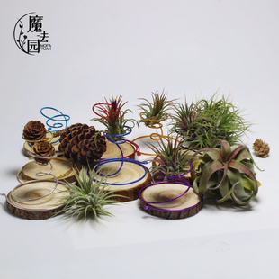 空气凤梨几何圆花架 铝线桌面 办公室创意个性简约支架空气草底座