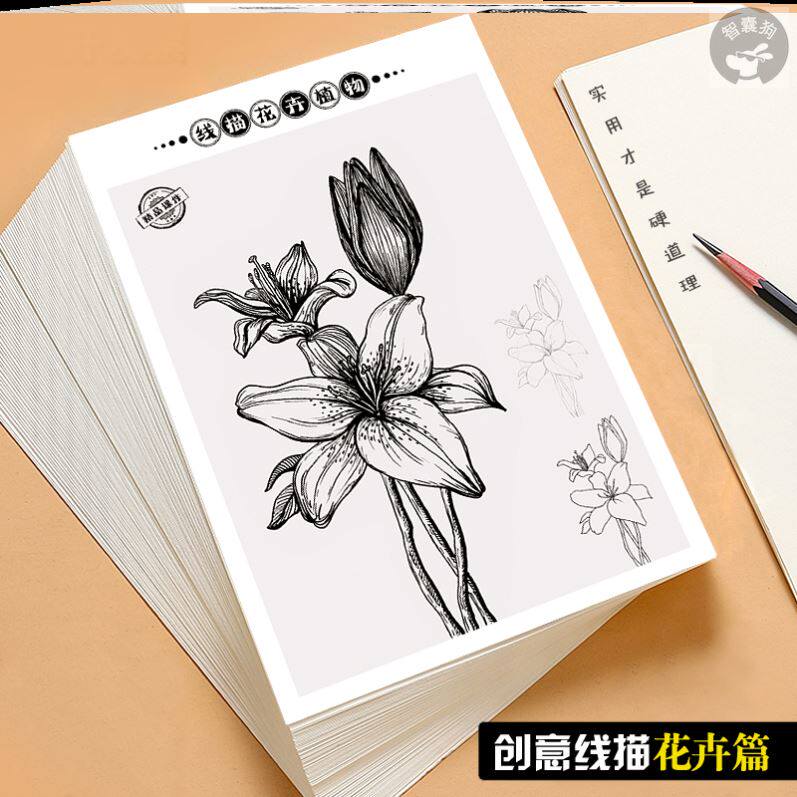 黑白线描画花卉篇临摹卡少儿美术创意装饰画培训范画考级画室素材