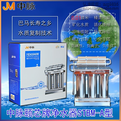 直饮除氯提锌中脉颐芯净水器超滤