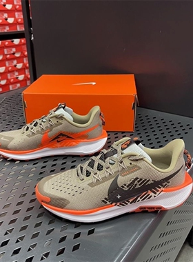 耐克NIKE PEGASUS TRAIL 5 (GS) 户外飞马大童跑步鞋FV5638-200