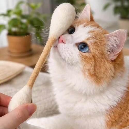 猫咪玩具逗猫棒羊毛棉签猫薄荷小猫自嗨解闷神器磨牙消耗体力个性