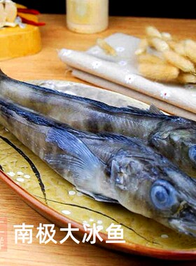 南极大冰鱼少刺肉白烧烤铁板