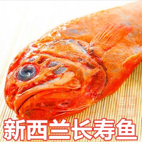 【新西兰长寿鱼】2-2.5斤/条进口橙鲷鱼海鲜酒楼冷冻深海红鱼香煎