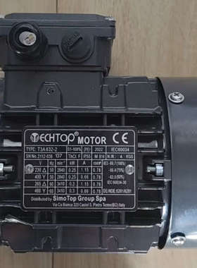 ECHTOP 电机 T3A632-2，意大利进口，成色如议价也可维修