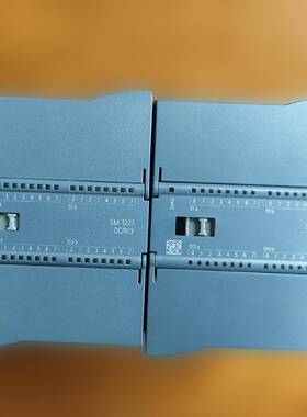 SM1223DC/RLY议价 维修！！！