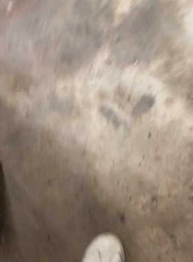 GOORUi高瑞 漩涡风机 增氧泵 GHBH 7D5 36议价也可维修