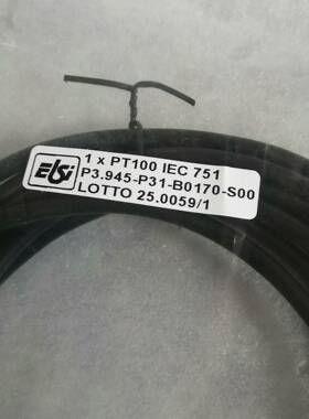 温度传感器1xPT100 IEC 751 P3.945-议价 维修！！！