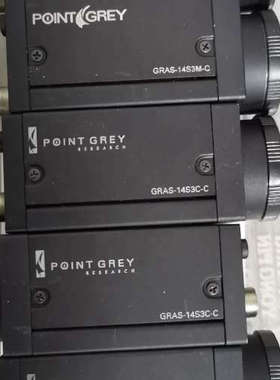灰点工业相机，GRAS-20S4C，GRAS-14S3C，G议价也可维修