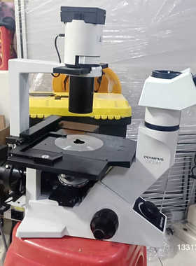 奥林巴斯倒置CKX41带荧光，没电源成色漂亮便宜议价也可维修